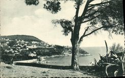 POSTAL de la VENDIMIA Niza el montaje del boro y el L incorporados del puerto vista del castillo