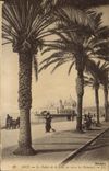 VINTAGE POSTCARD Nice the Palate of the Pier Seen Between the Palm trees