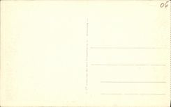 VINTAGE POSTCARD Nice Ponchettes and the Boron Mount