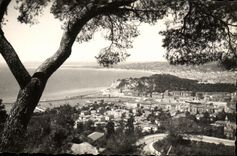 Opinion de la POSTAL de la VENDIMIA Niza tomada del montaje del Imbecil