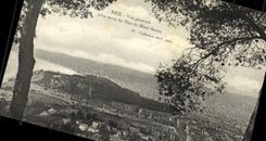 Opinion de la POSTAL de la VENDIMIA Niza tomada entre los pinos del montaje del boro