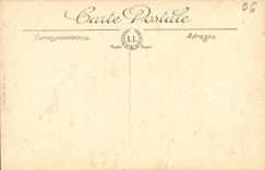 POSTAL de la VENDIMIA Niza en Italia en el aeroplano