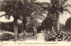 CPA Nice Promenade du Chateau Allee des Palmiers