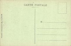 CPA Nice Promenade du Chateau Allee des Palmiers