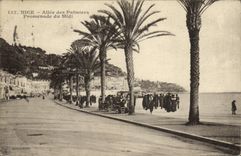 VINTAGE POSTCARD Gone Nice of Palmiere Walk of the South