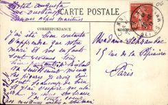 CPA Nice Vue de Jardin Public