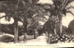 CPA Nice Promenade du Chateau Allee des Palmiers