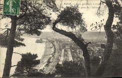 Opinion de la POSTAL de la VENDIMIA Niza a traves de los pinos del castillo