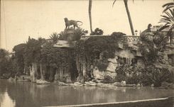 CPA Nice Jardins Albert 1er et la Grotte