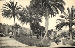 CPA Nice Les Palmiers du Jardin Public