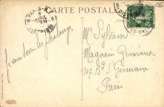 CPA Nice Palmiers du Chateau