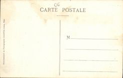 CPA Nice Groupe de Palmiers