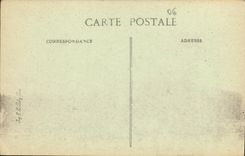 CPA Cote D Azur Nice Palmiers au Jardin Public