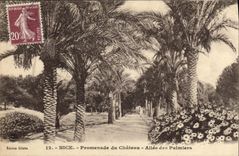 CPA Nice Promenade du Chateau Allee des Palmiers