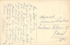 CPA Nice Promenade du Chateau Allee des Palmiers