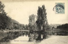 CPA Besancon Ile aux Moineaux