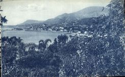 CPA Menton Vu des Jardins de Garavau