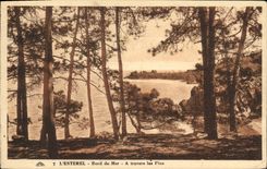 CPA L Esterel Bord de Mer A Travers les Pins