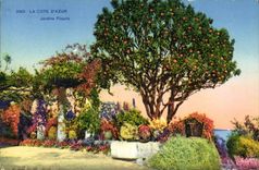 CPA La Cote D Azur Jardins Fleuris