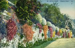 CPA Cote d azur Chemin Fleuri