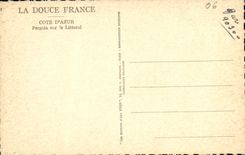 CPA Cote D Azur Pergola sur le Littoral