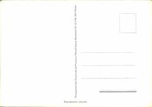 CPM Gorille Singe Alexandre