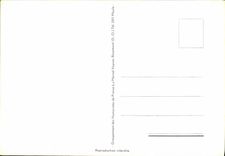 CPM Vieilles dames Alexandre Poisson