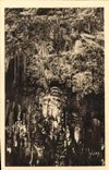 CPA La Merveille Souterraine des Groges du Tarn Aven Armand La Decoration de la Voute