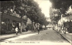 POSTAL Chatel Guyon L avenida de la VENDIMIA de Baraduc