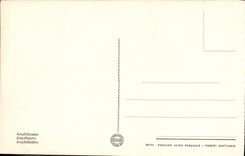 POSTAL Pompeya Antiteatro de la VENDIMIA