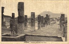 POSTAL Pompeya Veduta General del Foro de la VENDIMIA