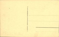 POSTAL Niza Bais de la VENDIMIA de los angeles a traves de los pinos