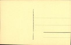 CPA Nice Les Jardins du Roi Albert 1er L Hotel de France et l hotel Ruhl