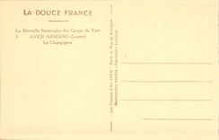 CPA Aven Armand Le Champignon Gorges du Tarn
