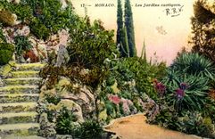 CPA Monaco Le Jardins Exotiques