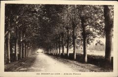 VINTAGE POSTCARD Nogent on Dormouse Gone of the Plane trees