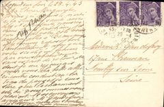 VINTAGE POSTCARD Nogent on Dormouse Gone of the Plane trees