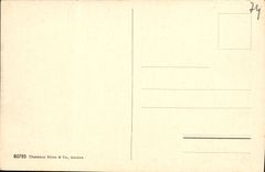 VINTAGE POSTCARD the Mont Blanc Seen from of Geneva