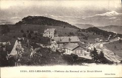 CPA Aix Les Bains Plateau du Revard et le Mont Blanc Vaches 