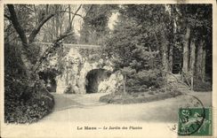 VINTAGE POSTCARD Mans the Botanical garden