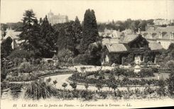 VINTAGE POSTCARD Mans the Botanical garden the Floor Seen of