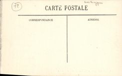 VINTAGE POSTCARD Mans the Botanical garden the alc Swans