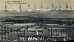 VINTAGE POSTCARD Steps Seen from of the Terrace of the Castle