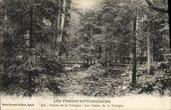 VINTAGE POSTCARD the Picturesque Vosges Valley of Vologne Pearls of Vologne
