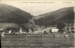 VINTAGE POSTCARD the High Vosges Pastures of Rudlin and Vallee of Louchbach Cows