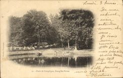 CPA Foret De Compiegne Etang Ste Perine