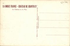 VINTAGE POSTCARD Castle the Castle seen of the Park