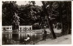 VINTAGE POSTCARD Lyon Park of the head D gold