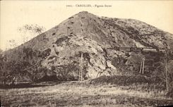 VINTAGE POSTCARD Carolles Pinion Bittern Train