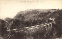 VINTAGE POSTCARD Carolles Valley of Pelntres and Pont of Crapeux